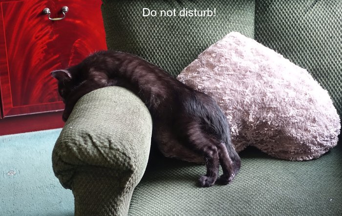 Asleep - Do not disturb.jpg