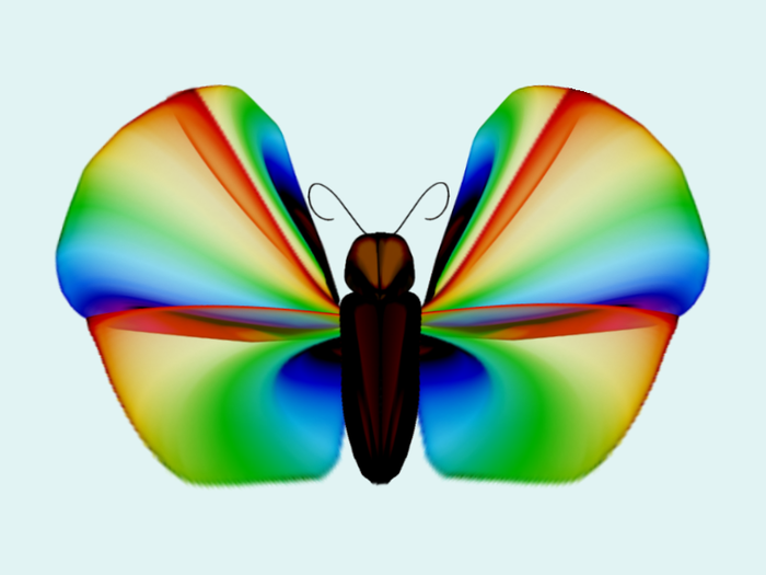 Rainbow Butterfly..png