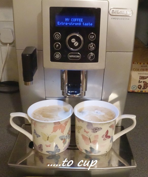 Coffee Cups.jpg