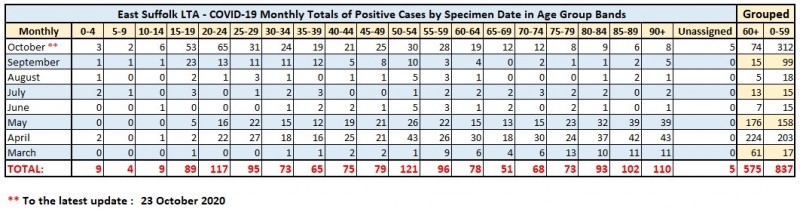 06_Monthly_Cases_by_Age_Group.jpg