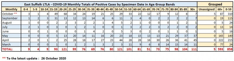 08_Monthly_Cases_by_Age_Group.jpg