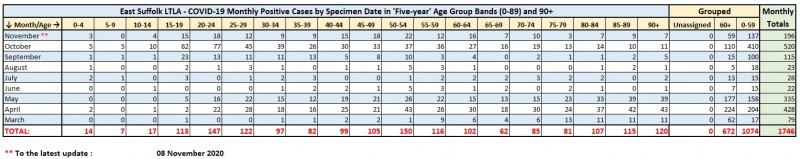 12_Monthly_Cases_by_Age_Group_to_08_Nov_2020.jpg