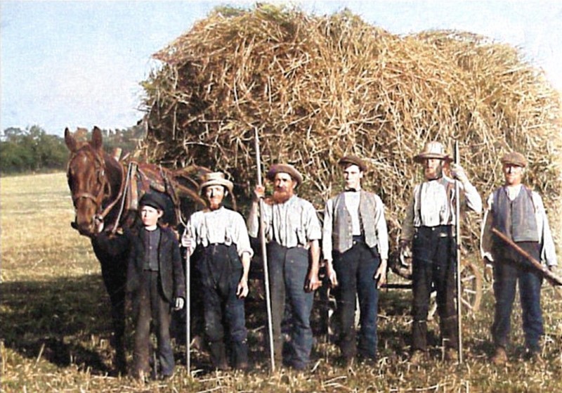 L1297 Hay-making in the Barnby area. c. 1914.jpg